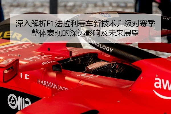 img_1791454893723_590_0_543.jpg（FEIFAN SPORTS）